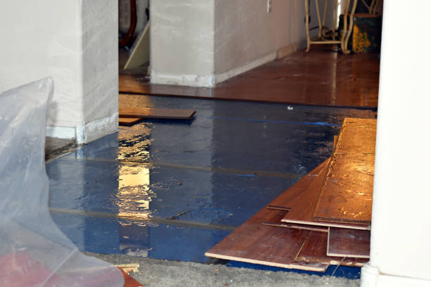 Professional Emergency Water Damage Restoration technician working in Danville, IL